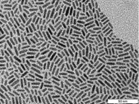 CdSe/CdS core-shell type quantum rods fluorescence &#955;em&#160;560&#160;nm, 5&#160;mg/mL in hexane