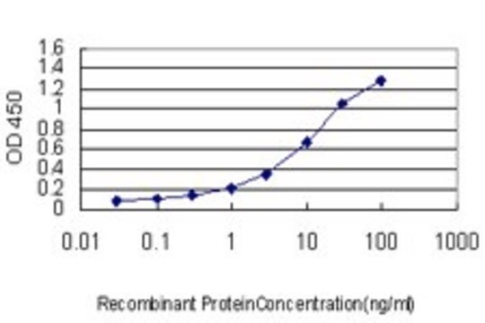 Monoclonal Anti-ARHGDIA antibody produced in mouse clone 1E12-2G11, purified immunoglobulin, buffered aqueous solution