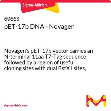 pET-17b DNA - Novagen Novagen&#8242;s pET-17b vector carries an N-terminal 11aa T7-Tag sequence followed by a region of useful cloning sites with dual BstX I sites, which allow efficient cloning using an asymmetric linker.