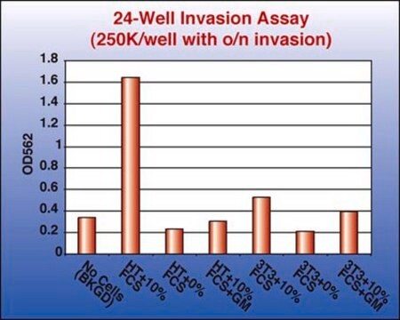 Ensayo de infiltración celular colágeno QCM, 24 pocillos (8 &#181;m), colorimétrico The Cell Invasion Assay Kit kuses a 24 well plate with 8 um pores, which is ideal for evaluation of invasive tumor cells.