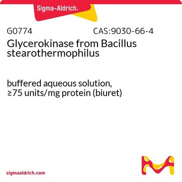 グリセロキナーゼ Bacillus stearothermophilus由来 buffered aqueous solution, &#8805;75&#160;units/mg protein (biuret)