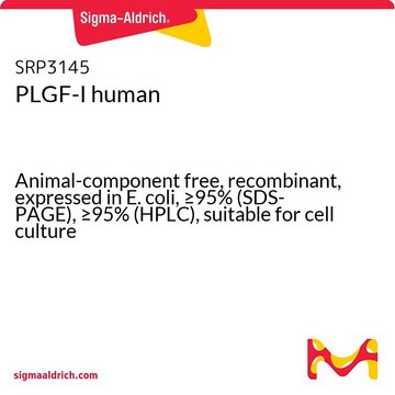 PLGF-I human Animal-component free, recombinant, expressed in E. coli, &#8805;95% (SDS-PAGE), &#8805;95% (HPLC), suitable for cell culture