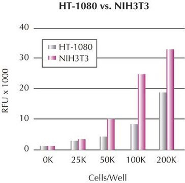 Essai de chimiotaxie/migration cellulaire QCM, 24&nbsp;puits (8&nbsp;µm), fluorimétrique The QCM 24-well Migration Assay is ideal for the study of chemotaxis cell migration. The assay uses a 24-well plate with an 8 micron pore size, with fluorescent detection.