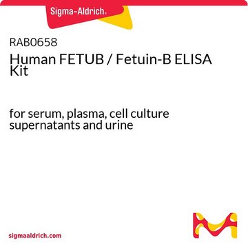 Human FETUB / Fetuin-B ELISA Kit for serum, plasma, cell culture supernatants and urine