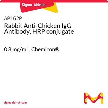 Anti-Huhn-IgG-Antikörper des Kaninchens, HRP-Konjugat 0.8&#160;mg/mL, Chemicon&#174;