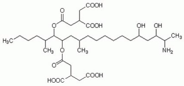 Fumonisin&nbsp;B2, Fusarium moniliforme Structural analog of Fumonisin B&#8321; that has higher cytotoxicity and specific binding to primary rat hepatocytes than fumonisin B&#8321;.