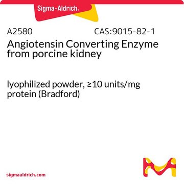 Angiotensin Converting Enzyme from porcine kidney lyophilized powder, &#8805;10&#160;units/mg protein (Bradford)