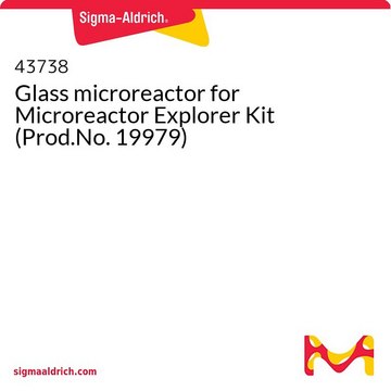 Glas-Mikroreaktor für Microreactor Explorer Kit (Prod.Nr. 19979)