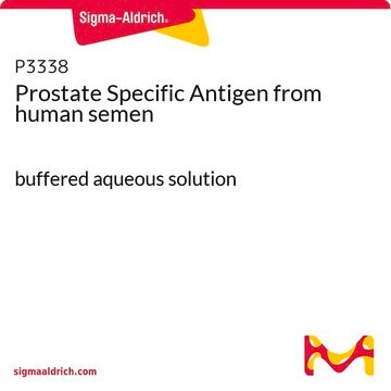 Prostate Specific Antigen from human semen buffered aqueous solution