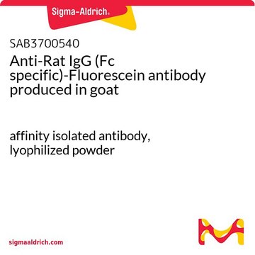 Anti-Rat IgG (Fc specific)-Fluorescein antibody produced in goat affinity isolated antibody, lyophilized powder