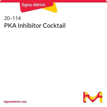 Koktajl inhibitorów PKA