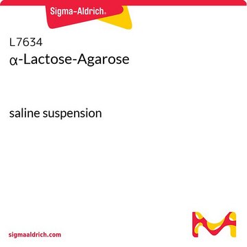 &#945;-Laktose-Agarose saline suspension