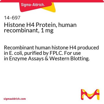 Histon&nbsp;H4-Protein, human, rekombinant, 1&nbsp;mg Recombinant human histone H4 produced in E. coli, purified by FPLC. For use in Enzyme Assays &amp; Western Blotting.