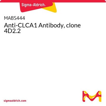 Anti-CLCA1 Antibody, clone 4D2.2