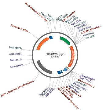 PSF-CMV-HYGRO - CMV DRIVEN HYGROMYCIN RESISTANT VECTOR plasmid vector for molecular cloning