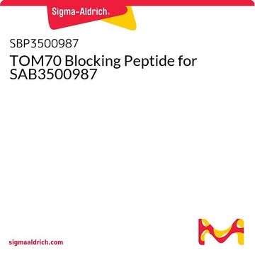 TOM70 Blocking Peptide for SAB3500987