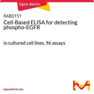 Cell-Based ELISA for detecting phospho-EGFR in cultured cell lines, 96&#160;assays