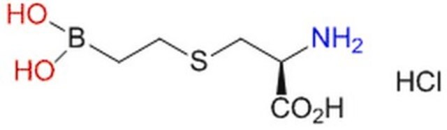 BEC, chlorowodorek A boronic acid-based arginine analog that acts as a slow-binding, competitive transition state inhibitor of arginases I and II (Ki = 310 nM for human recombinant type II arginase, pH 7.5).