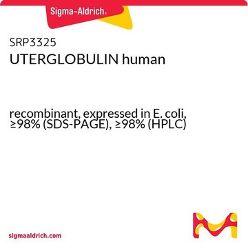 UTERGLOBULIN human recombinant, expressed in E. coli, &#8805;98% (SDS-PAGE), &#8805;98% (HPLC)