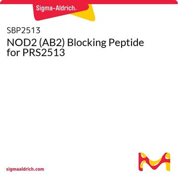 NOD2 (AB2) Blocking Peptide for PRS2513