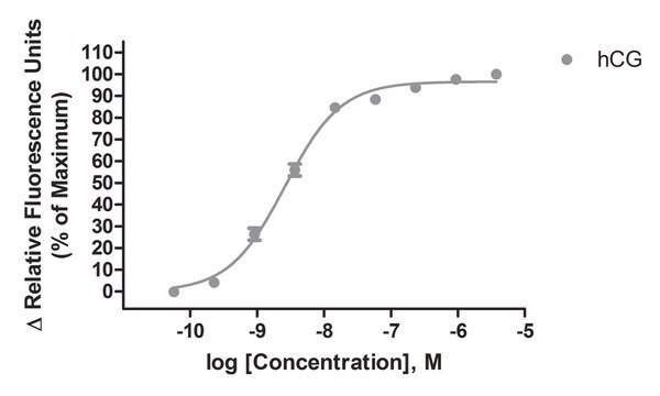 Ready-to-Assay LH Glycoprotein Hormone Receptor Frozen Cells