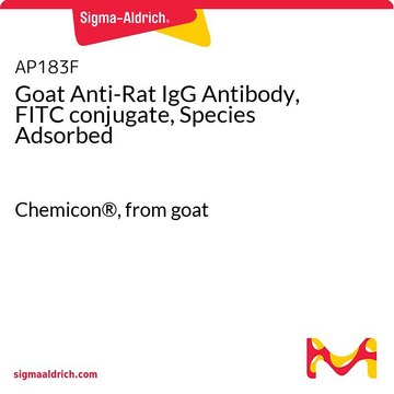 Goat Anti-Rat IgG Antibody, FITC conjugate, Species Adsorbed Chemicon&#174;, from goat