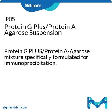 Protein G Plus/Protein A Agarose-Suspension Protein G PLUS/Protein A-Agarose mixture specifically formulated for immunoprecipitation.