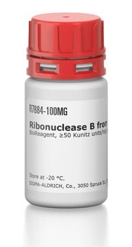 Ribonuklease B aus Rinderpankreas BioReagent, &#8805;50&#160;Kunitz units/mg protein, &#8805;80% (SDS-PAGE)