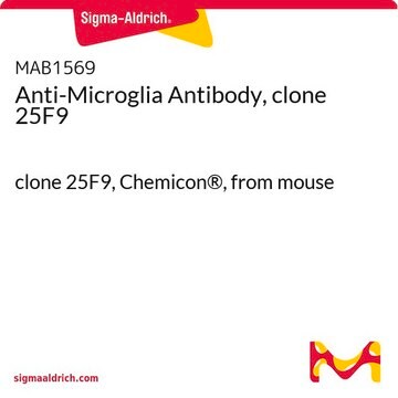 Anti-Microglia Antibody, clone 25F9 clone 25F9, Chemicon&#174;, from mouse