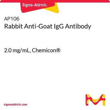 Anticuerpo IgG anti-cabra de conejo 2.0&#160;mg/mL, Chemicon&#174;