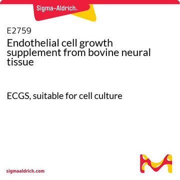 Suplemento de crescimento celular endotelial ECGS, suitable for cell culture