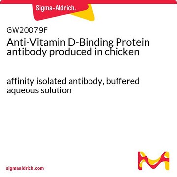 Anti-Vitamin D-Binding Protein antibody produced in chicken affinity isolated antibody, buffered aqueous solution