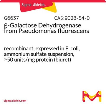 &#946;-ガラクトースデヒドロゲナーゼ 蛍光菌Pseudomonas fluorescens由来 recombinant, expressed in E. coli, ammonium sulfate suspension, &#8805;50&#160;units/mg protein (biuret)