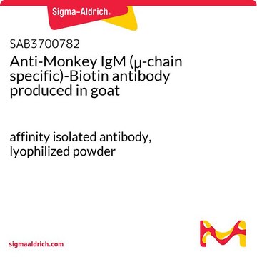 Anti-Monkey IgM (&#956;-chain specific)-Biotin antibody produced in goat affinity isolated antibody, lyophilized powder