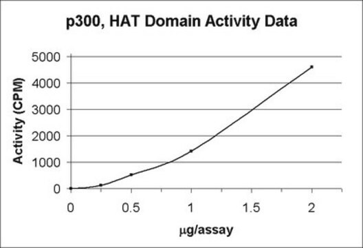 p300, domena HAT Recombinant GST-fusion protein corresponding to amino acids 1066-1707 of human p300.