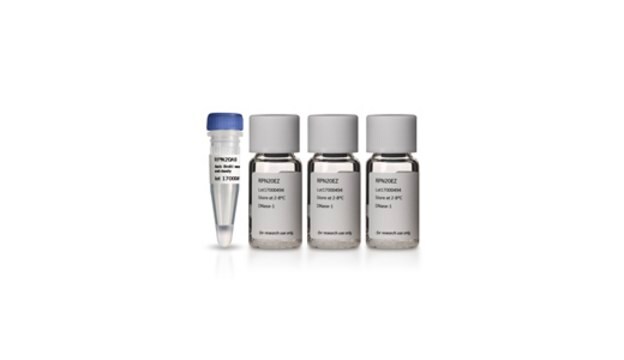 Anti-Brdu Antibody Cytiva RPN202