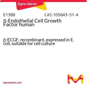 &#946;-内皮细胞生长因子 人 &#946;-ECGF, recombinant, expressed in E. coli, suitable for cell culture