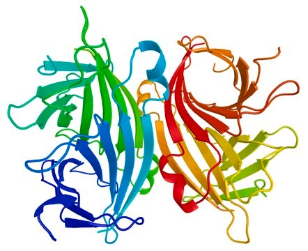 Avidin&#8722;Agarose aus Eiweiss aqueous glycerol suspension