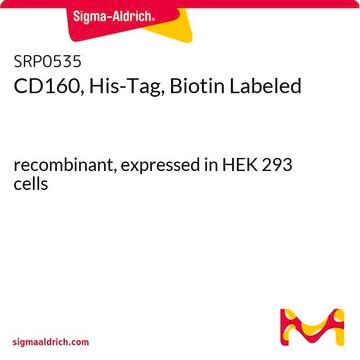 CD160, His-Tag, Biotin Labeled recombinant, expressed in HEK 293 cells