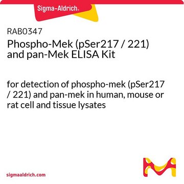 Phospho-Mek（pSer217 / 221）和pan-Mek ELISA试剂盒 for detection of phospho-mek (pSer217 / 221) and pan-mek in human, mouse or rat cell and tissue lysates