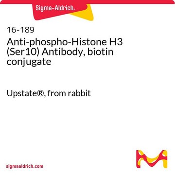 Anti-phospho-Histone H3 (Ser10) Antibody, biotin conjugate Upstate&#174;, from rabbit