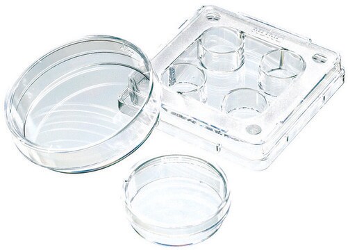 Nunc&#174; IVF マルチディッシュ &#916; surface treatment, 4 well dish, 1.9 cm2/well, 120/cs