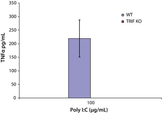 Acide polyinosinique–polycytidylique potassium salt with buffer salts, TLR ligand tested