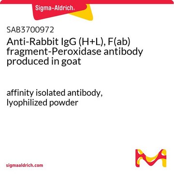 Anti-Rabbit IgG (H+L), F(ab) fragment-Peroxidase antibody produced in goat affinity isolated antibody, lyophilized powder