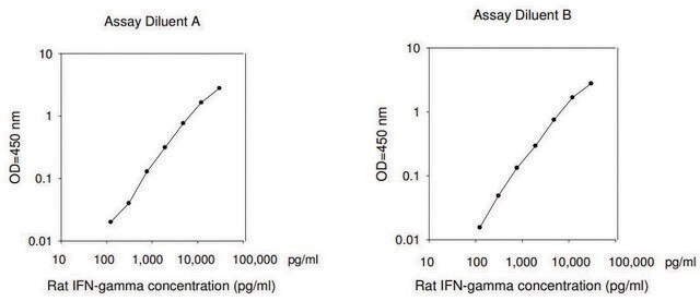 大鼠IFN- &#947; ELISA试剂盒 for serum, plasma and cell culture supernatant