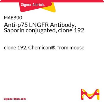 Anti-p75 LNGFR Antibody, Saporin conjugated, clone 192 clone 192, Chemicon&#174;, from mouse