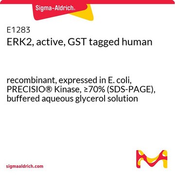 ERK2、活性型、GSTタグ融合 ヒト recombinant, expressed in E. coli, PRECISIO&#174; Kinase, &#8805;70% (SDS-PAGE), buffered aqueous glycerol solution