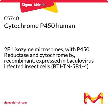 细胞色素P450 人 2E1 isozyme microsomes, with P450 Reductase and cytochrome b5, recombinant, expressed in baculovirus infected insect cells (BTI-TN-5B1-4)