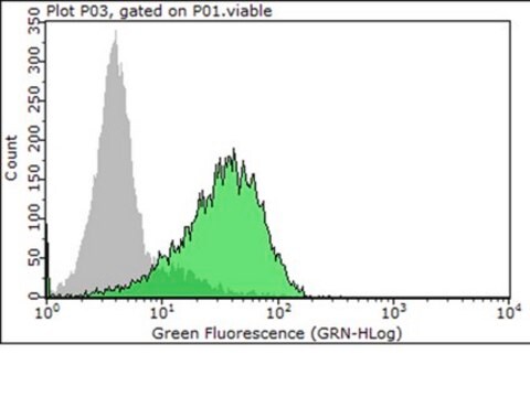 Anti-Integrin &#945;3 Antibody, clone ASC-1 (Azide Free) clone ASC-1, Chemicon&#174;, from mouse