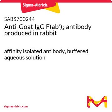 Anti-Goat IgG F(ab&#8242;)2 antibody produced in rabbit affinity isolated antibody, buffered aqueous solution